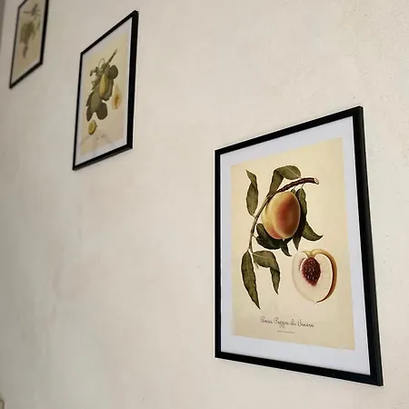 Casa Barte Apartment